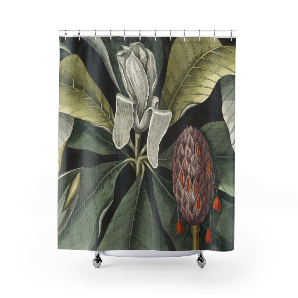 Magnolia Shower Curtain - Umbrella Tree by Mark Catesby (1638-1749)