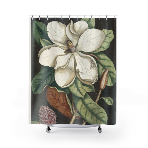 Laurel Tree (Magnolia altissima) Shower Curtain by Mark Catesby (1754)